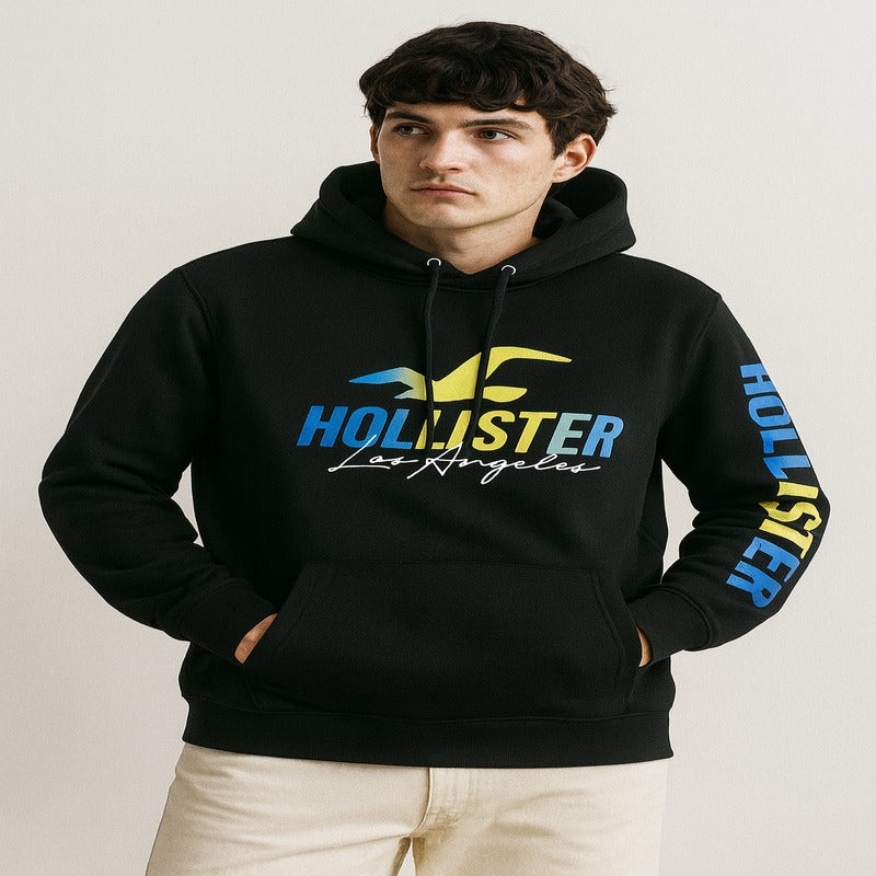 Hollister California Logo Hoodie